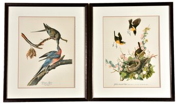 Pair Of Custom Framed Audubon Prints 'Pafsenger Pigeon' And 'Yellow Breasted Chat'