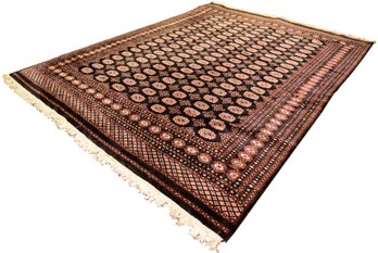 Genuine Hand Knotted Wool Pakistan Area Rug