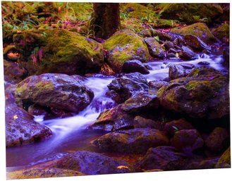 Framed Vibrant Photograph Of A Stream On Metal Frame