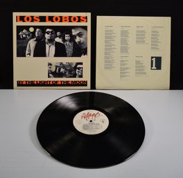 Los Lobos - Splash On Warner Bros. Records