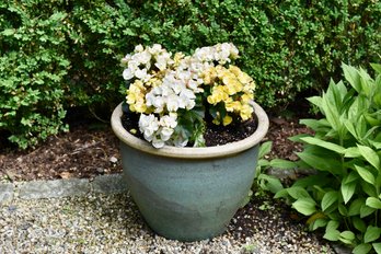 Ceramic Planter With Live Plant (2 Of 2)