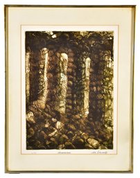 15/253 Signed Rita Schwartz Numbered 2/75 Framed Lithograph Titled 'Anamnesis'