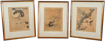 Set Of Three Signed Chinese Framed Bird Prints