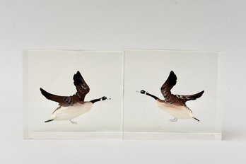Pair Of Lucite Canadian Geese Bookends