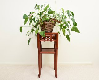 Chinese Plant Stand With Live Anthurlum Plant