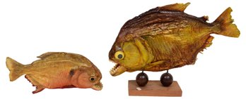 Pair Of Real Taxidermy Red Bellied Predator Piranhas