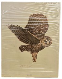 Signed Guy Poheleach Print Titled 'Spotted Owl'