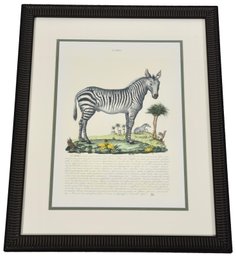 La Zebra Framed French Art Depicting A Standing Zebra In A Lush Garden