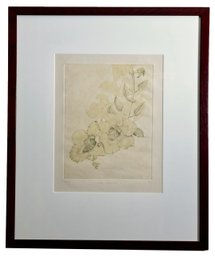 Signed Framed Etching By Katie Lee Titled 'Thunburqia Grandi Flora'