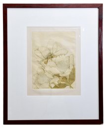 Signed Limited Edition Etching Titled 'Peonia' By Katie Lee