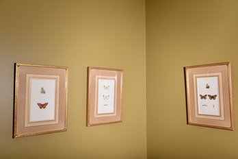 Set Of Three Butterfly Framed Prints