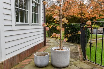 Pair Of Garden Planters