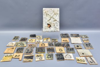 Collection Of 40 Smaller Pigmented Wax Tiles And One Larger Tile By Artist Patrick Flaherty