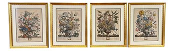 Group Of Four Framed Botanical Prints