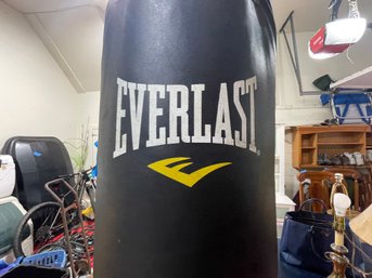 Everlast Punching Bag