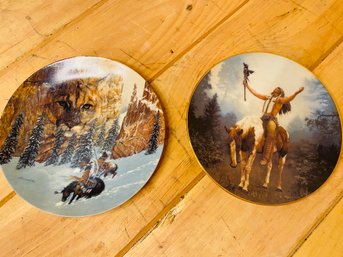 Pair Of Collectible Indian Plates