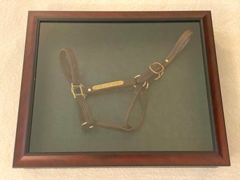 Equestrian Bridle In Shadowbox Frame Belonging To Thoroughbred Race Horse / No Biz Like Showbiz