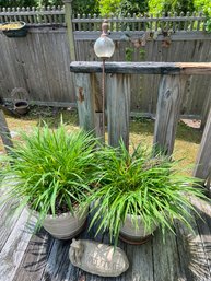 Outdoor Plants, Welcome Sign, Glass Orbs For The Garden