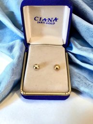 CIANA 14k Gold Stud Earrings