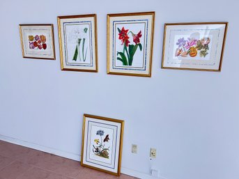 Group Of 5 Prints, Some Are Museum Reproductions