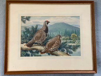 Signed Painting James Gordon Irving Pair Of Grouse Sitting On Tree Branch View Of Mountains 21x17'