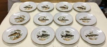 A Fabulous Vintage  12PC Israel Naaman Fish Serving Porcelain Plates Set