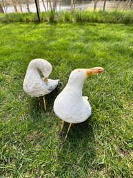 BEST Seagulls!, Cement, No Messing