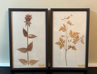 Kristina Fine / Pair Sweet Framed Herb Botanicals