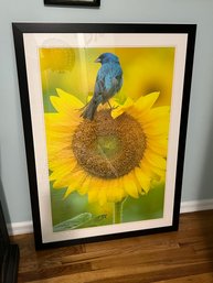 National Geographic Sunflower & Bluebird Large Framed Print