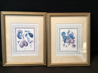 Pair French Fruit Prints Nicely Matted & Framed
