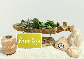 Driftwood Log Planter With Faux Plants, Salt Lamps, Candle Holders, Love Life Book