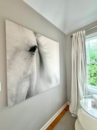 Z Galerie Canvas Wall Decor Eye Of The Stallion  (LOC: W1)