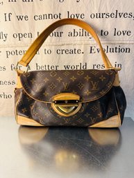 Louis Vuitton Designer Purse