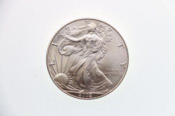 2002 Silver Eagle .999 One Ounce Coin