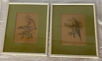 Two Vintage J Gould Bird Prints In Faux Bamboo Frame