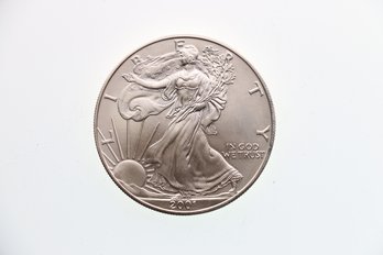 2001 Silver Eagle .999 One Ounce Coin