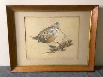 Woodcock Framed Art By Linda Barry