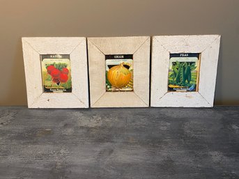 Three Framed Colorful Vintage Seed Packages - Onion, Pea And Radish