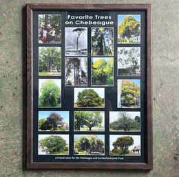 A Chebeague Tree Print - Framed