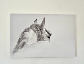 A Large Black And White Photograph On Canvas - Stallion