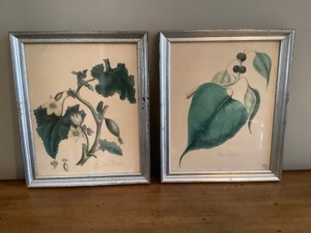 PAIR OF FRAMED PLANT PRINTS