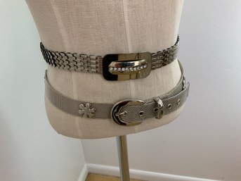 Fabulous Metallic Belts