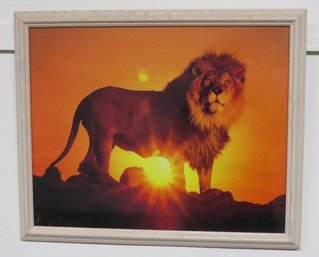 A Framed Desert Sun Set Backdrop Photo Of An African Lion