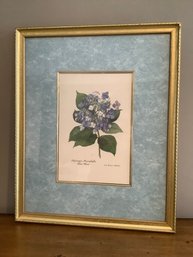 FRAMED LADY MARGARET MYDDELTON FLORAL PRINT