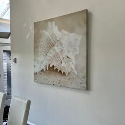 Seashell Photograph Print On Canvas - 48 Inches Square