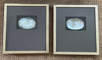 2 Matted & Framed Prints Of Mother Of Pearl / Abalone Shell With Gold Leaf Trim