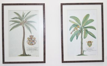 Pair Of Matted & Framed Prints Of Palm Trees ' To His Grace' & ' To Her Royal Highness Princess Of Wales