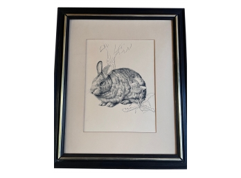 B&W Illustrated Bunny Print Matted And Framed