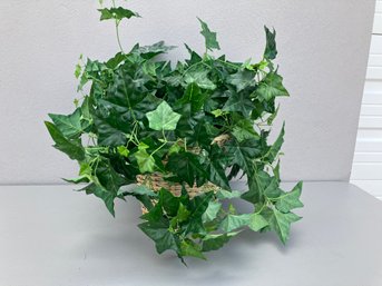 A Baskeful Of Ivy