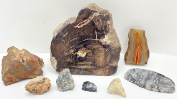 8 Pieces Petrified Wood, Natural Stones & Agate